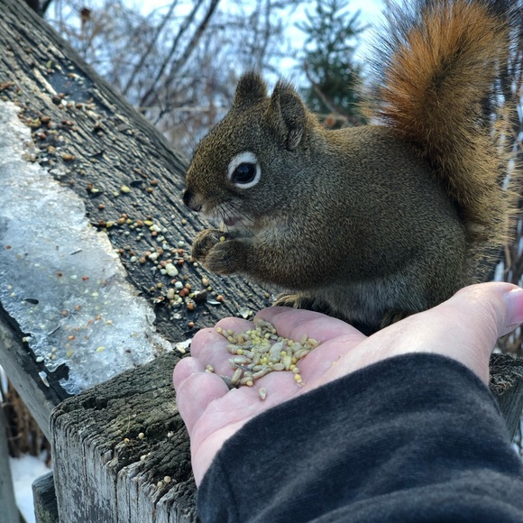 ♥️ - Picture 3 of 6